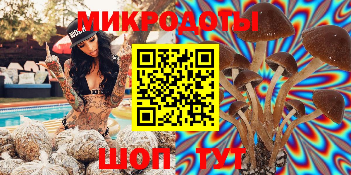 Галлюциногенные грибы MAGIC MUSHROOMS Тавда